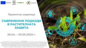 Some Title Some Alt Text