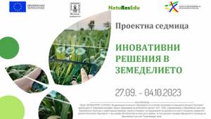 Some Title Some Alt Text